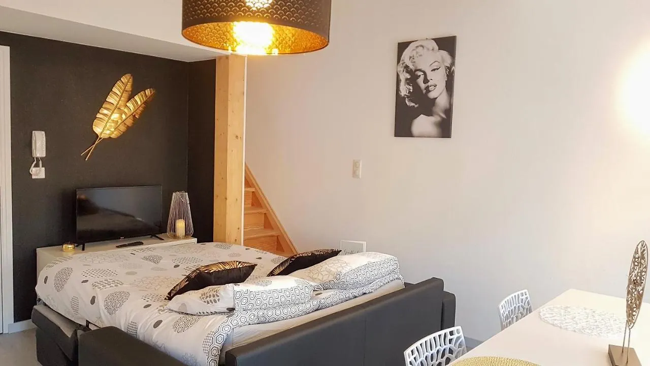 Les Nuits D'Anis - Appartements Hypercentre Le Puy-en-Velay Apartment
