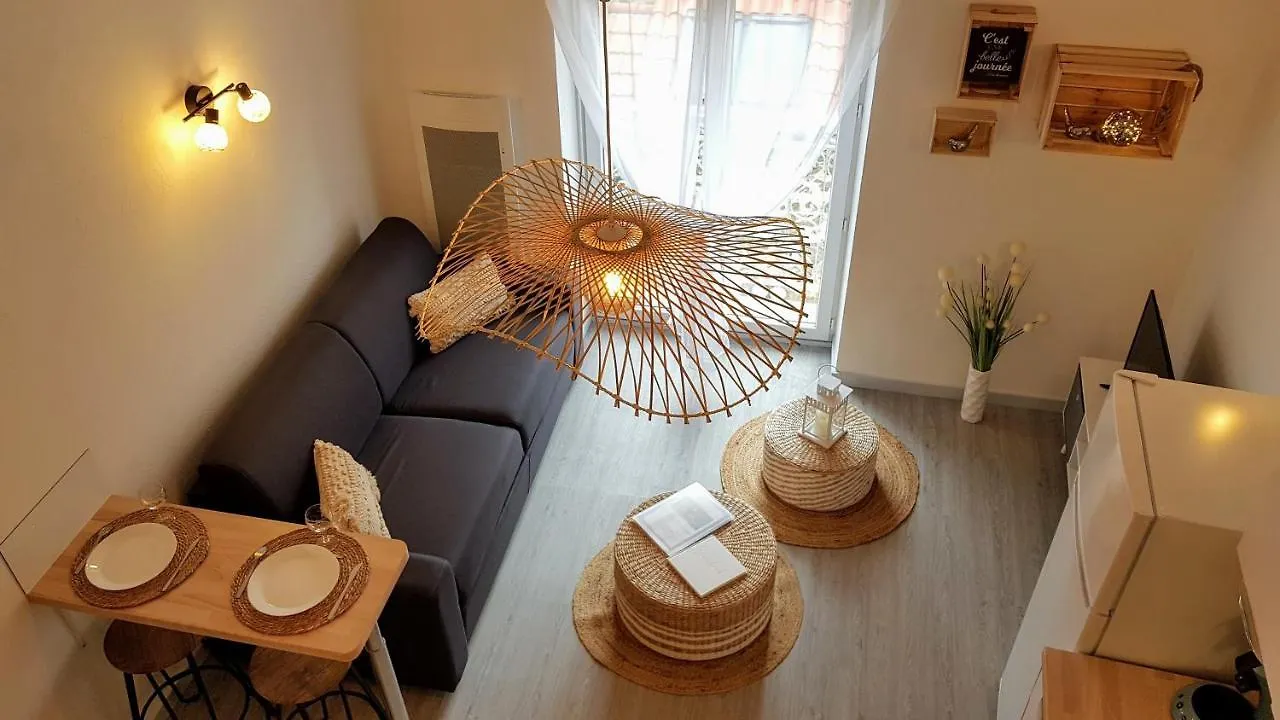 Les Nuits D'Anis - Appartements Hypercentre Le Puy-en-Velay