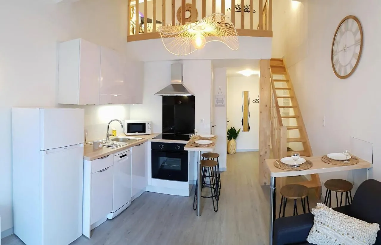 Les Nuits D'Anis - Appartements Hypercentre Le Puy-en-Velay Apartment