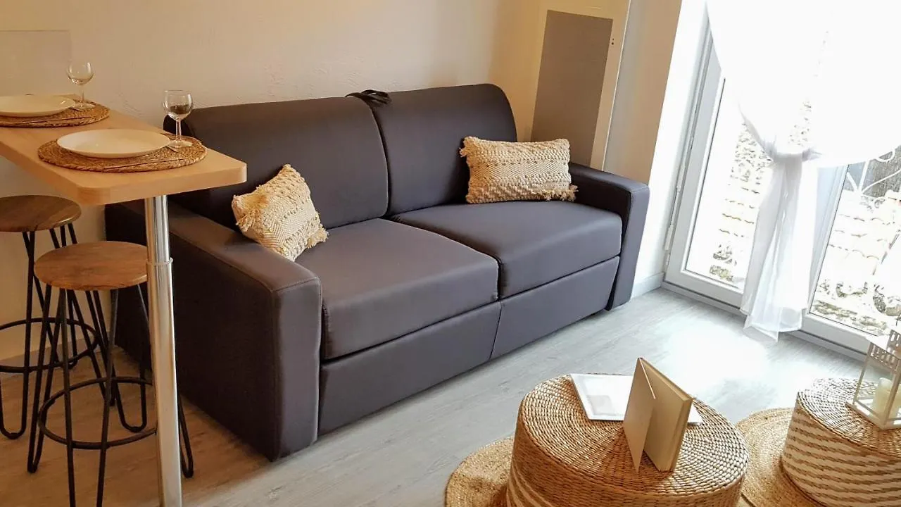 Apartment Les Nuits D'Anis - Appartements Hypercentre Le Puy-en-Velay