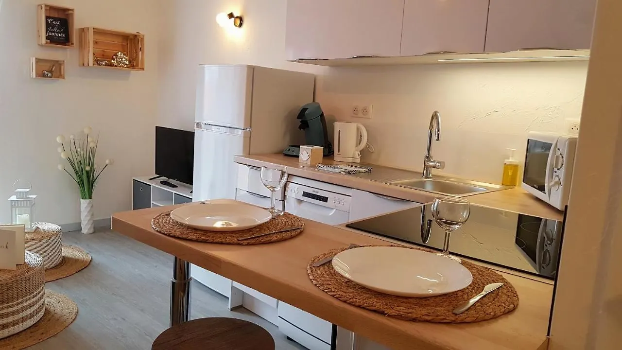 Apartment Les Nuits D'Anis - Appartements Hypercentre Le Puy-en-Velay France