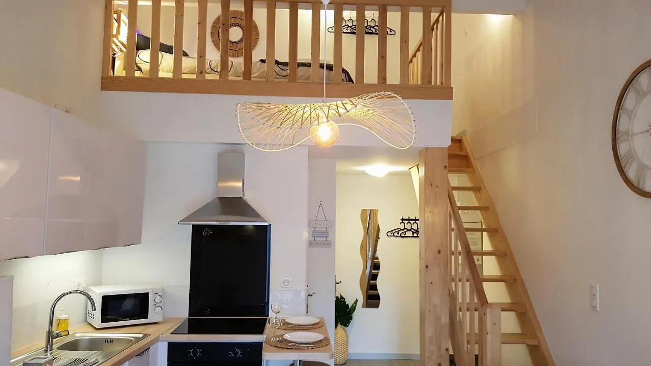 Les Nuits D'Anis - Appartements Hypercentre Le Puy-en-Velay