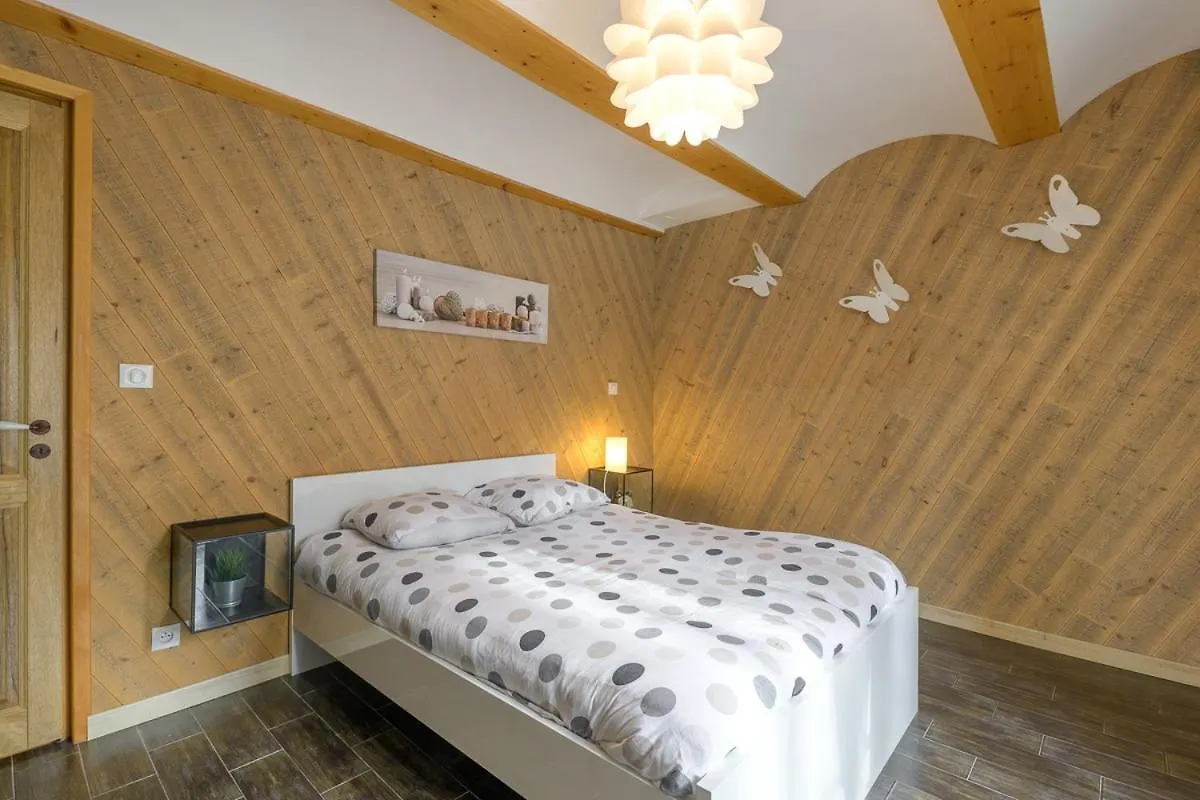 Les Nuits D'Anis - Appartements Hypercentre Le Puy-en-Velay France