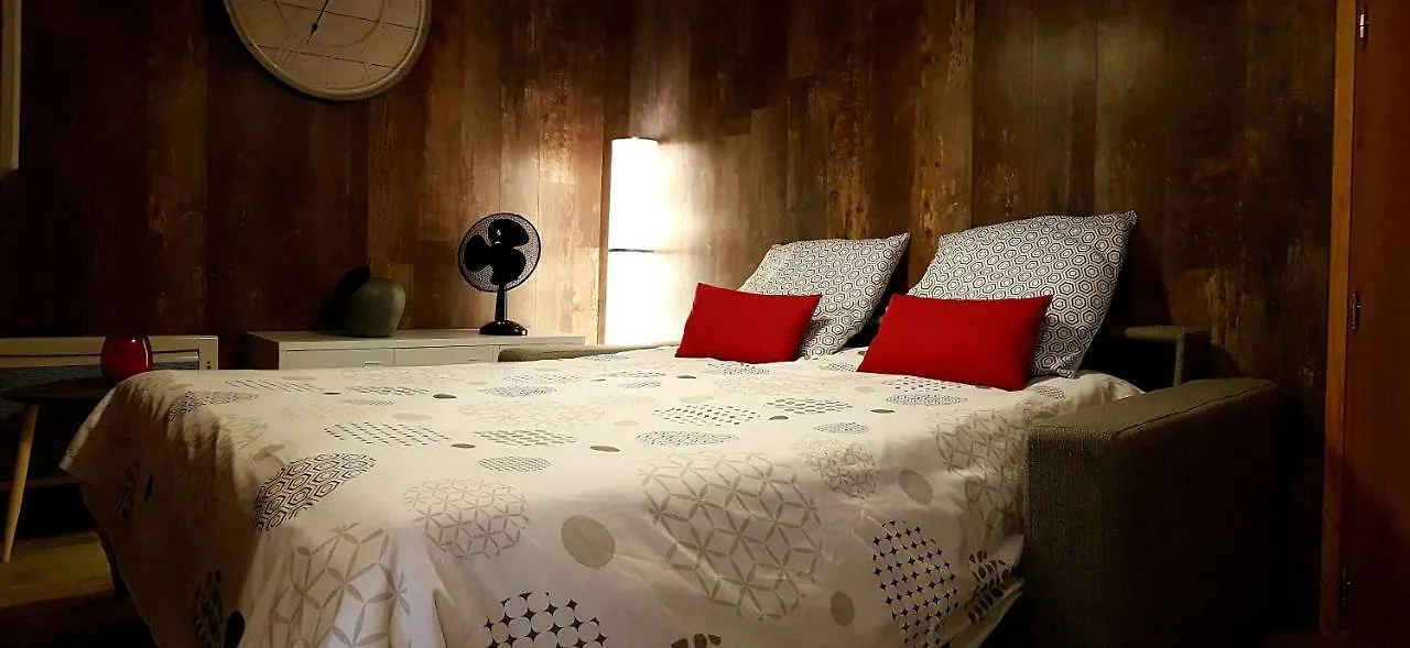 Apartment Les Nuits D'Anis - Appartements Hypercentre Le Puy-en-Velay